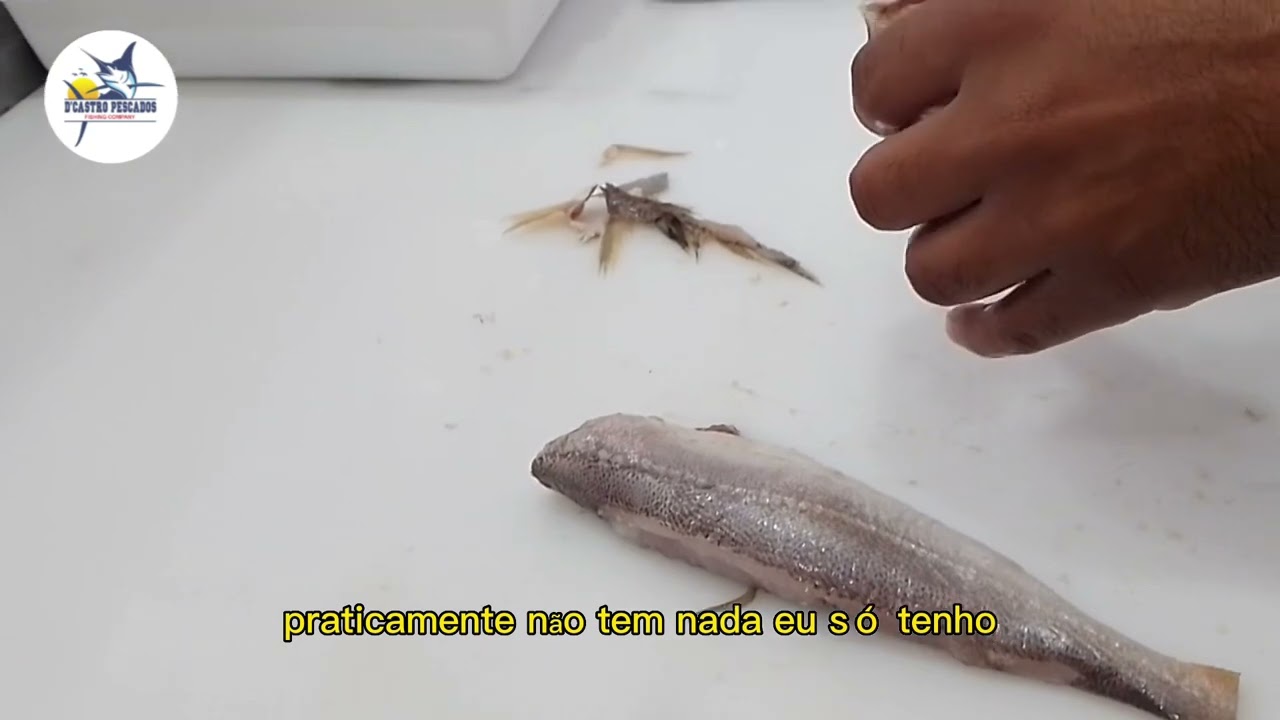 Limpando uma pescada branca 🤩