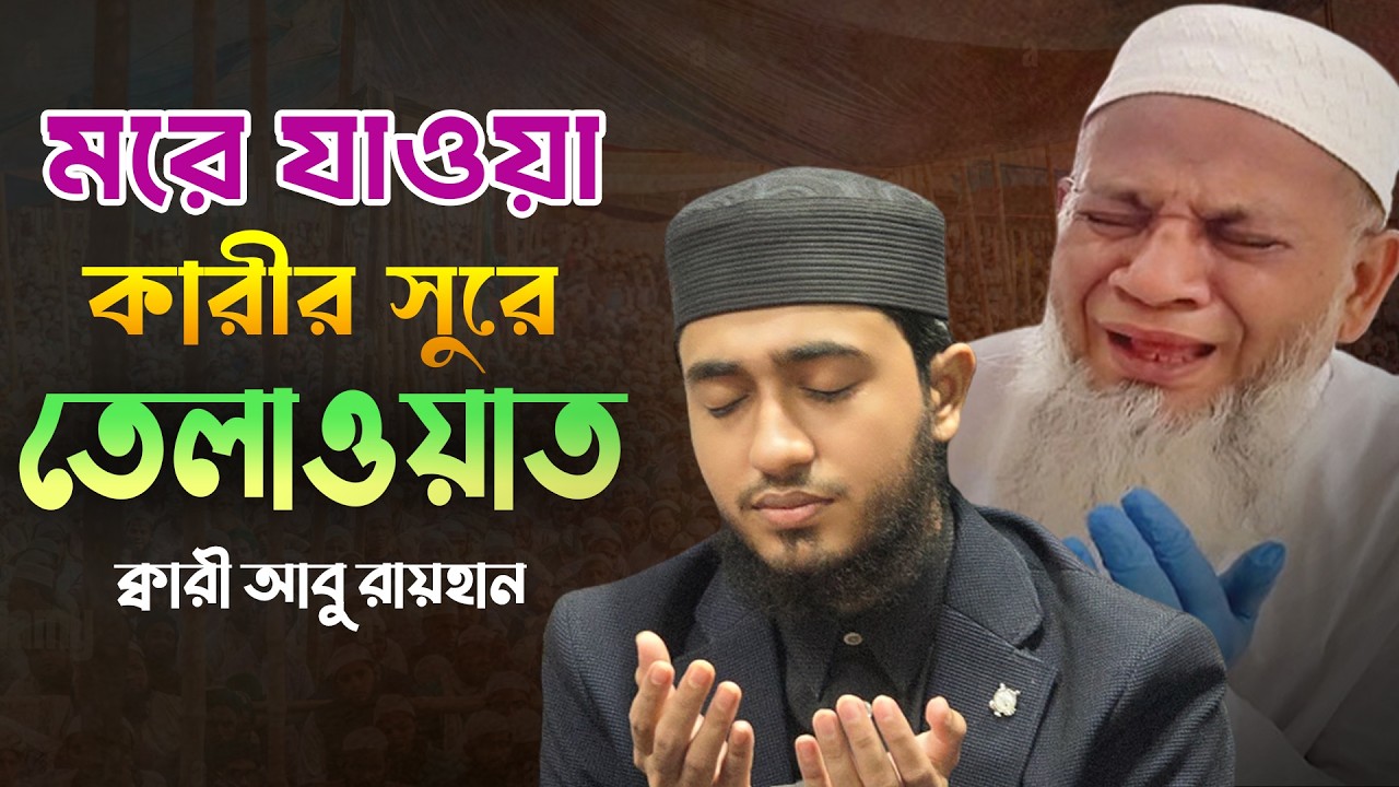 যে সুর চোখে পানি এনে দেয় 😢 | কোরআন তেলাওয়াত | ক্বারী আবু রায়হান