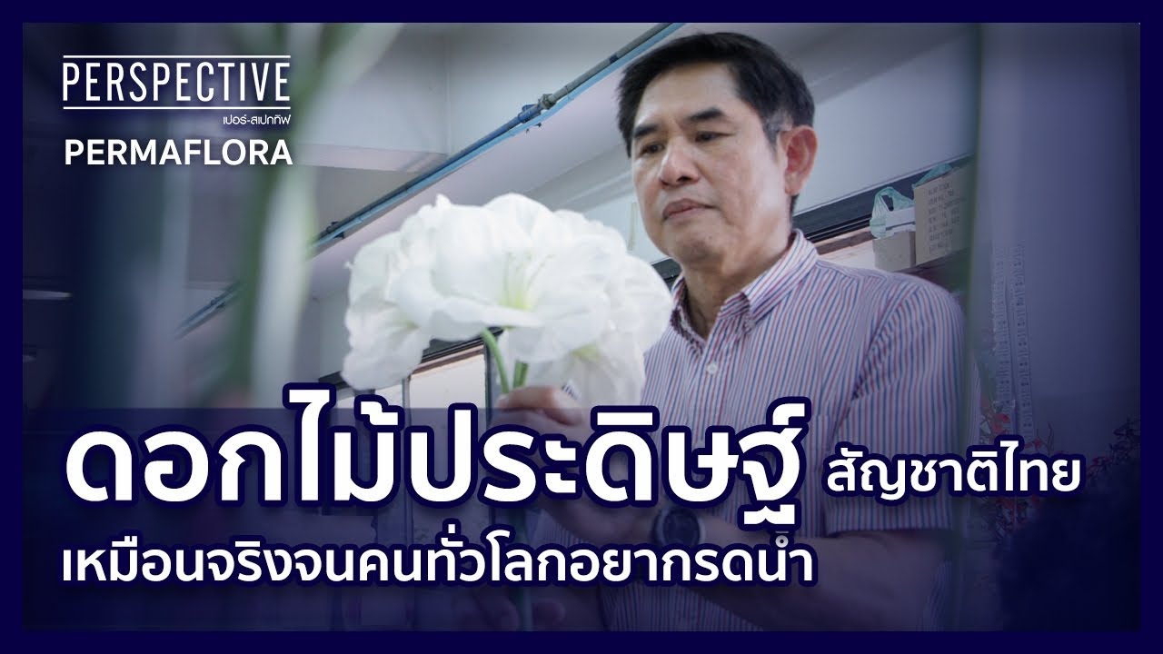 PERMAFLORA ดอกไม้ประดิษฐ์สัญชาติไทยที่ส่งออกไปทุกทวีปทั่วโลก | PERSPECTIVE [27 พ.ย.65]