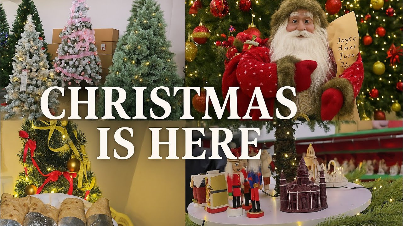  The Christmas Season Has Begun! 🎄 Amazing Decorations & Festive Spirit/thewackyguy 