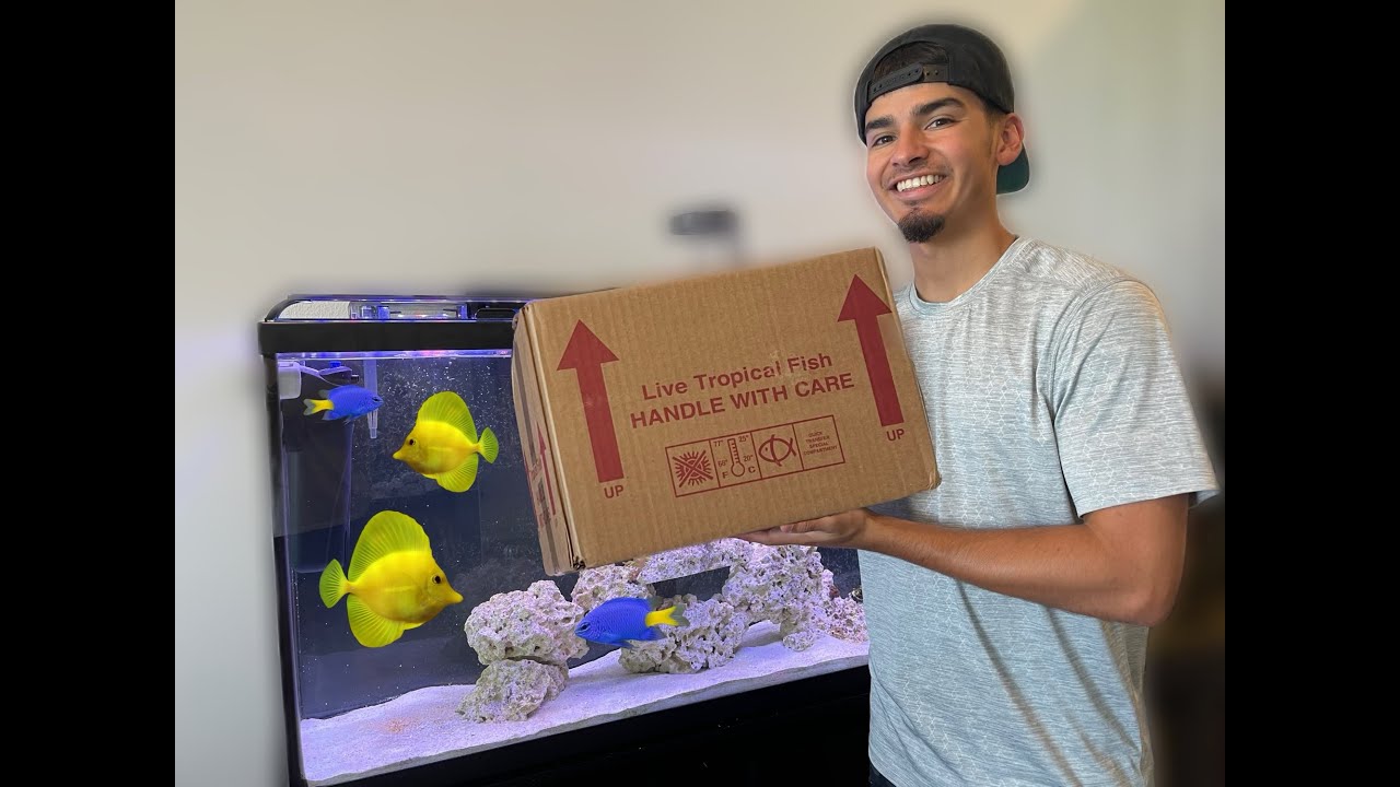Buying more fish for 65 Gallon saltwater tank!!!
