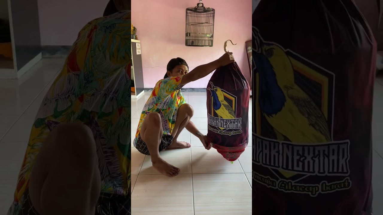 Perjalanan lomba Sogon setelah mabung.!!