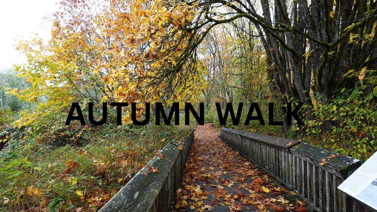 AUTUMN WALK | NISQUALLY WILDLIFE REFUGE | BEAUTY OF FALL #nature #naturephotography