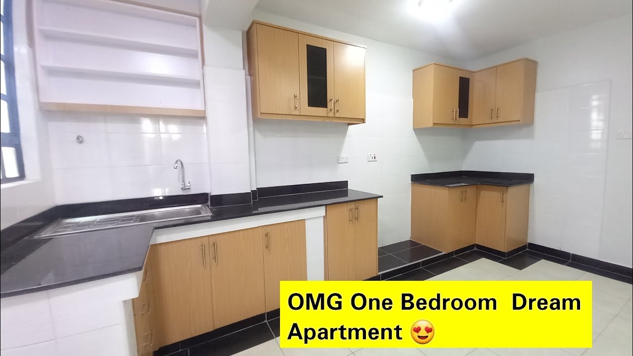 OMG!! I Never Expected This. Spacious And Affordable One Bedroom  Apartment / Cheap Apartment