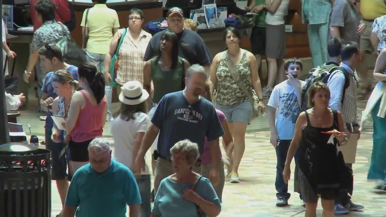 How cruise ships can use Oncam's 360-degree surveillance technology to improve safety onboard