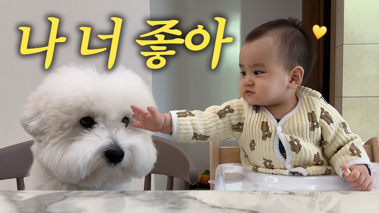 [VLOG] 가족이 주는 행복이란..❤️ (첫 차 바이바이🚙, 부부 케미)
