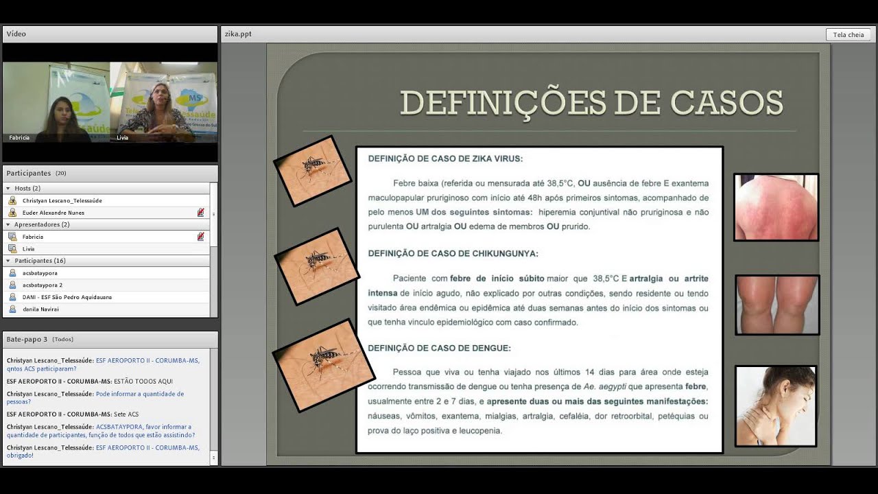 Web Aula  Comitê de Combate ao Aedes aegypti