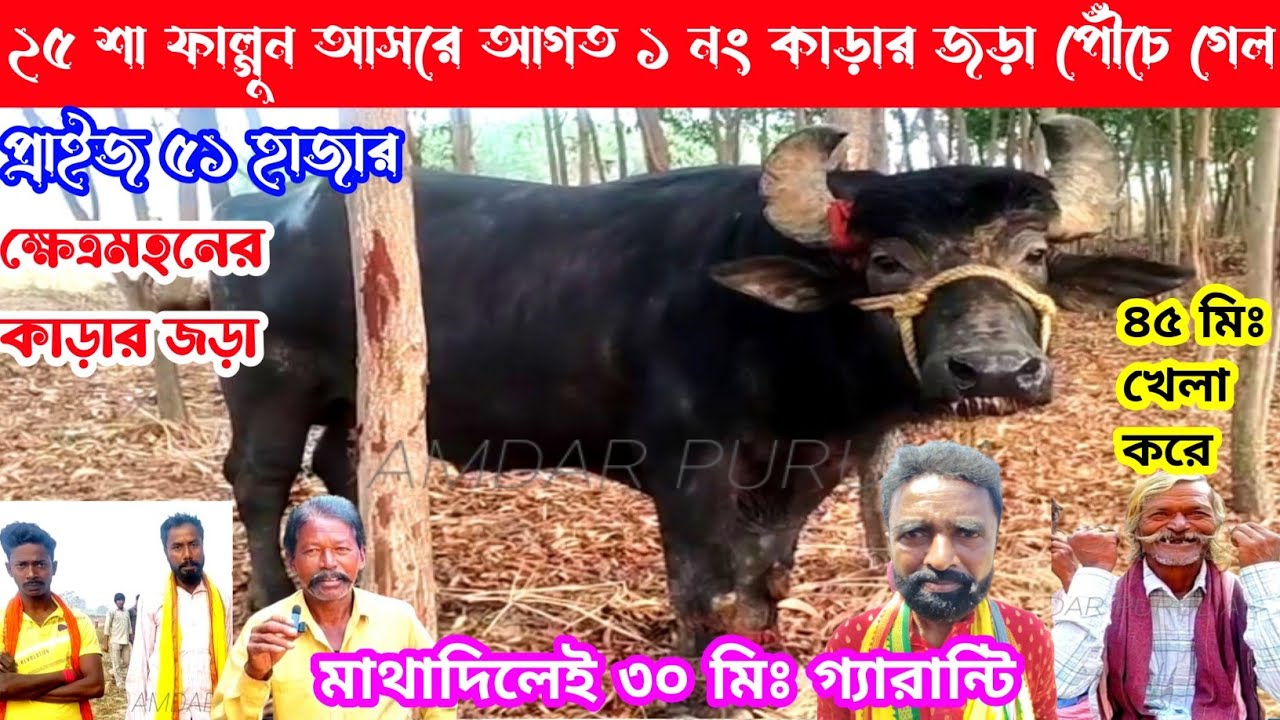 ২৫ শা ফাল্গুন আসরে আগত ১ নং কা*ড়ার জড়া,৫১ হাজার,ক্ষেত্রমহনের জড়া,৪৫ মিঃ খেলা বঠে,মাথাদিলে ৩০ মিঃ👈
