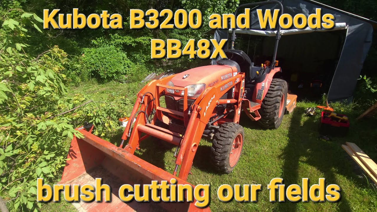 #53 Kubota B3200 and Woods BB48X brush cutting our fields