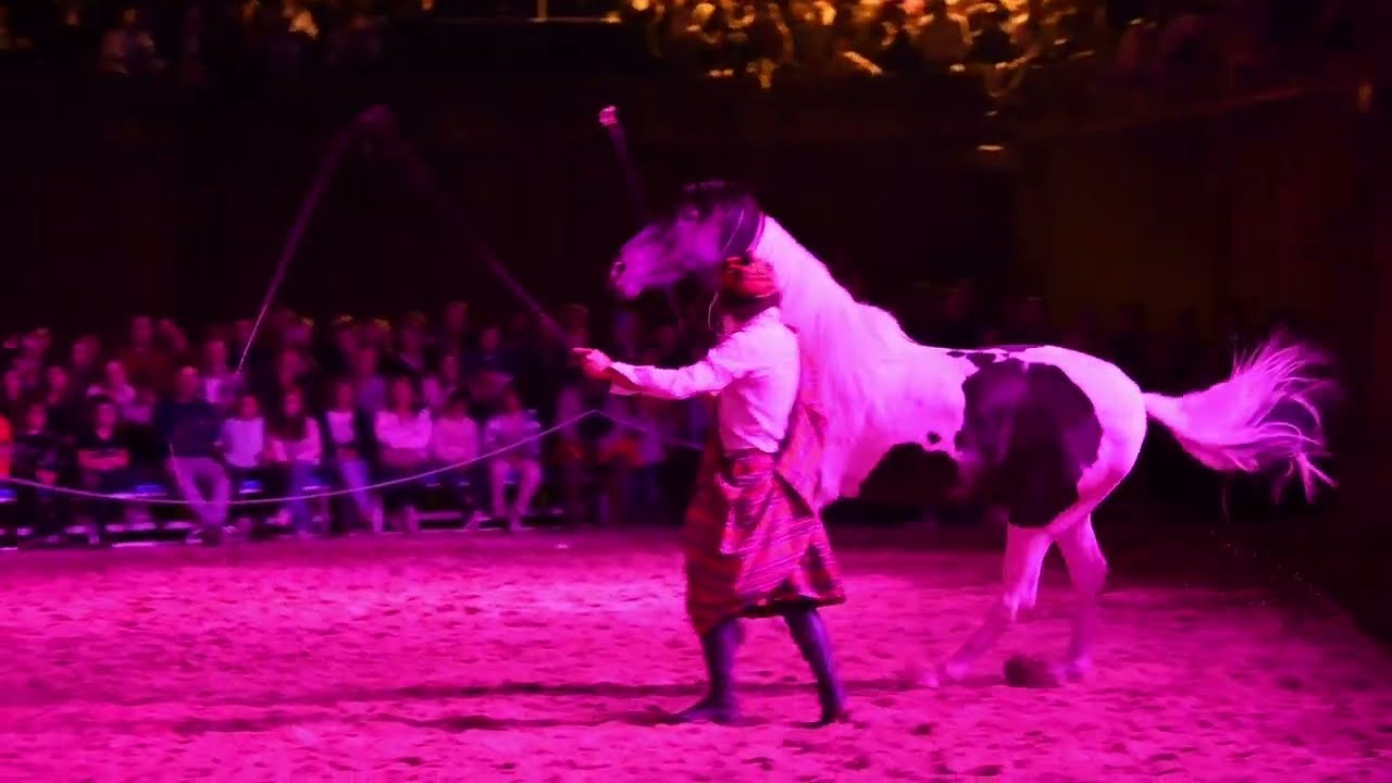 MARCILLA FERIA DEL CABALLO, HORSE SHOW 