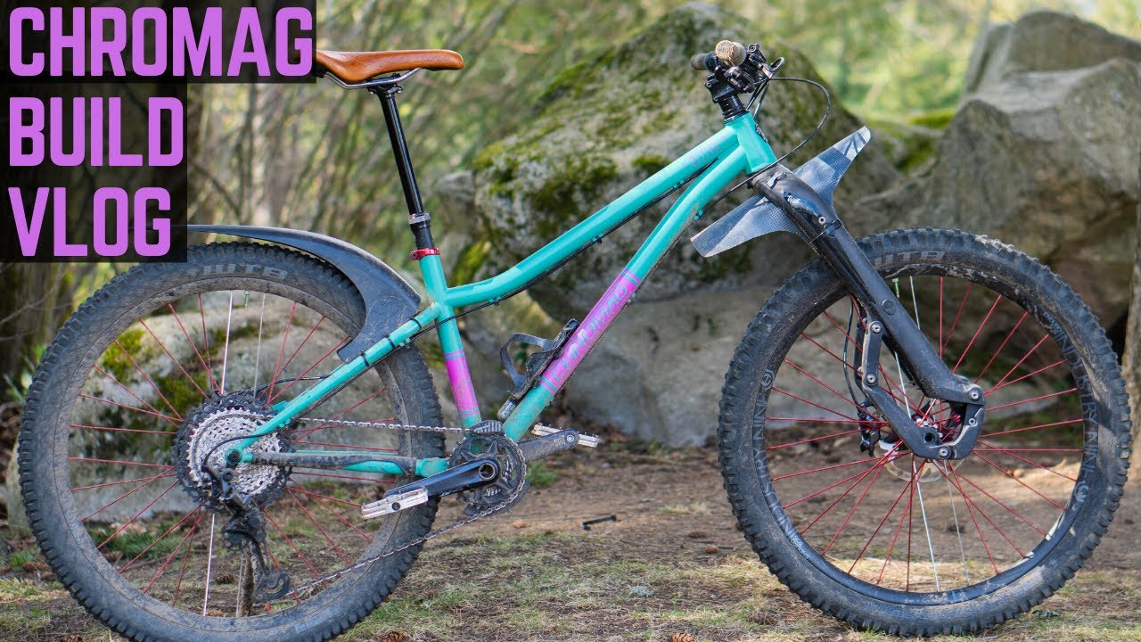 Praying Mantis?  Or aggressive, new school hardtail?