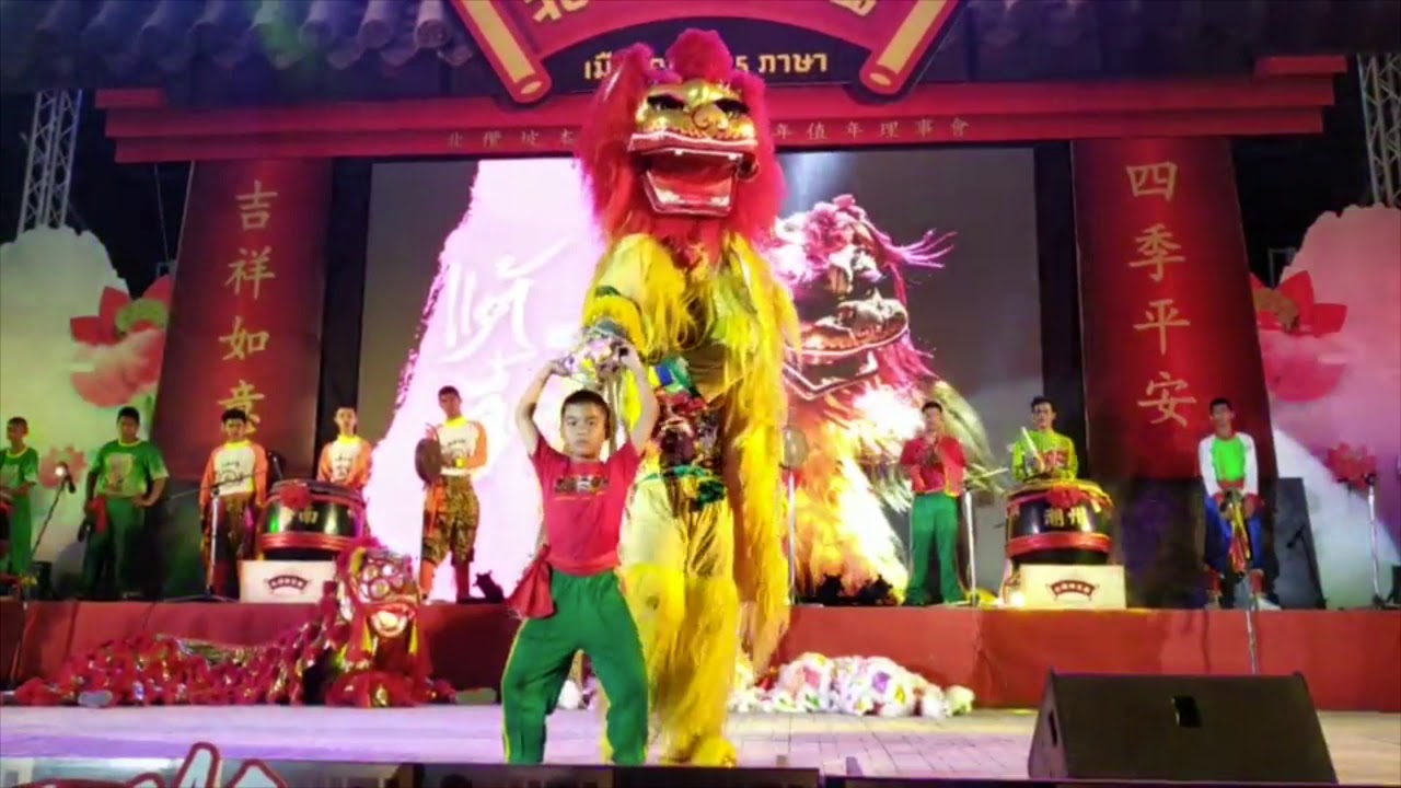 5 Kinds Lion Dance @ Nakornsawan, Thailand เชิดสิงโตนครสวรรค์ 5 ภาษา