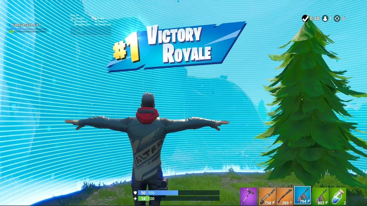 FORTNITE First Win with 