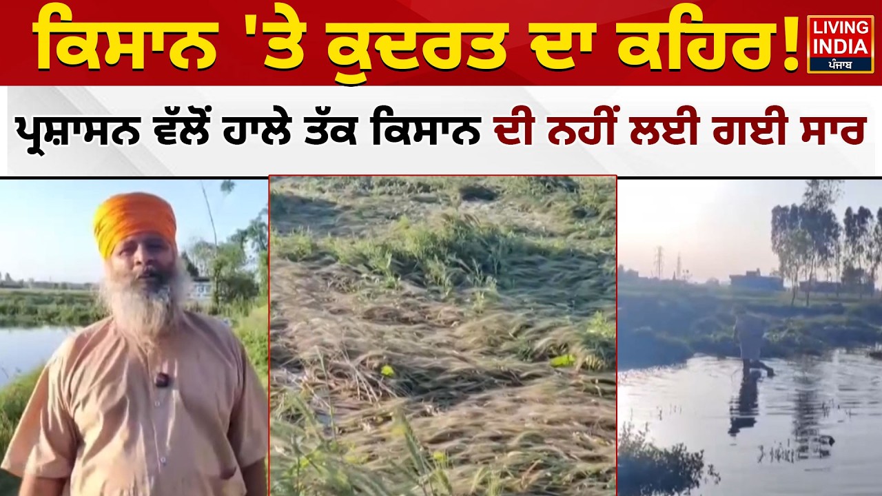 ਕਿਸਾਨ 'ਤੇ ਕੁਦਰਤ ਦਾ ਕਹਿਰ! ਪ੍ਰਸ਼ਾਸਨ ਵੱਲੋਂ ਹਾਲੇ ਤੱਕ ਕਿਸਾਨ ਦੀ ਨਹੀਂ ਲਈ ਗਈ ਸਾਰ | Gurdaspur News | Farmer