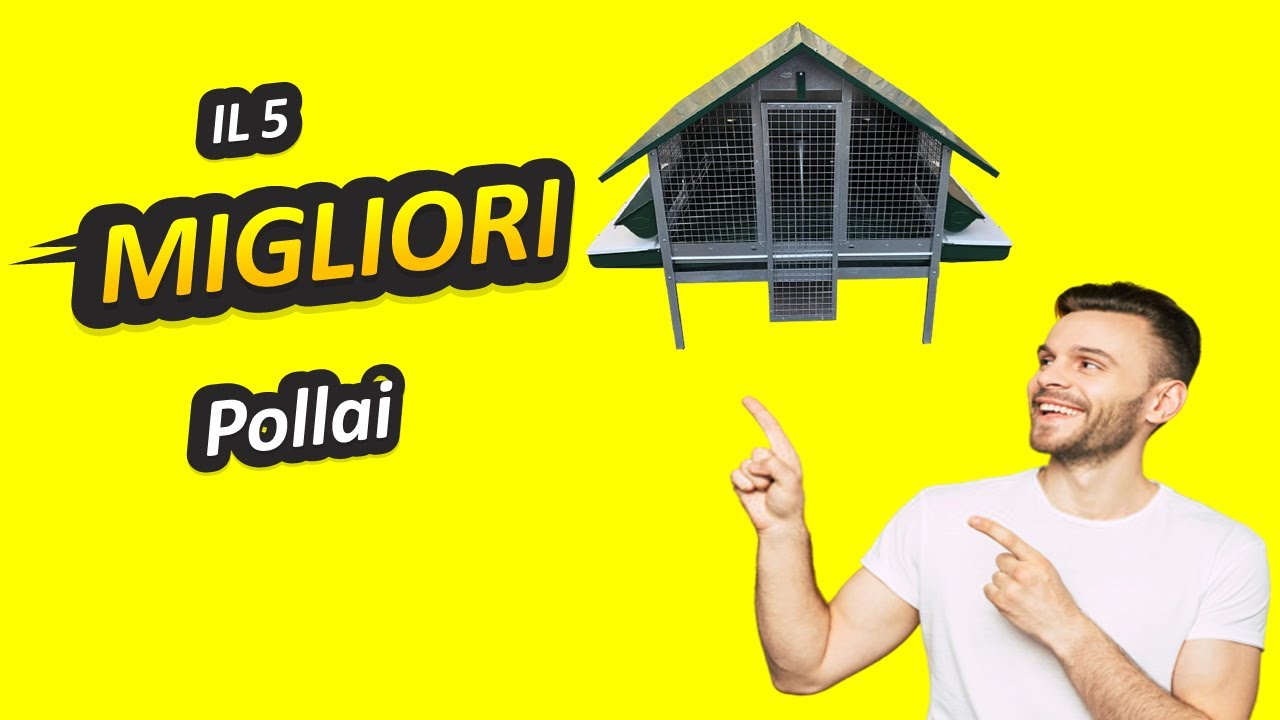 Migliori Pollai