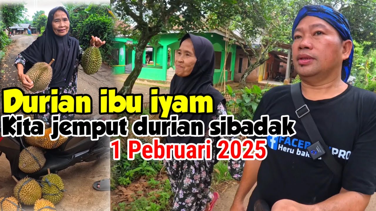 DURIAN SIBADAK bu iyam SAMPAI DI SERBU DAN DI BORONG PARAH SULTAN update 1 pebruari 2025