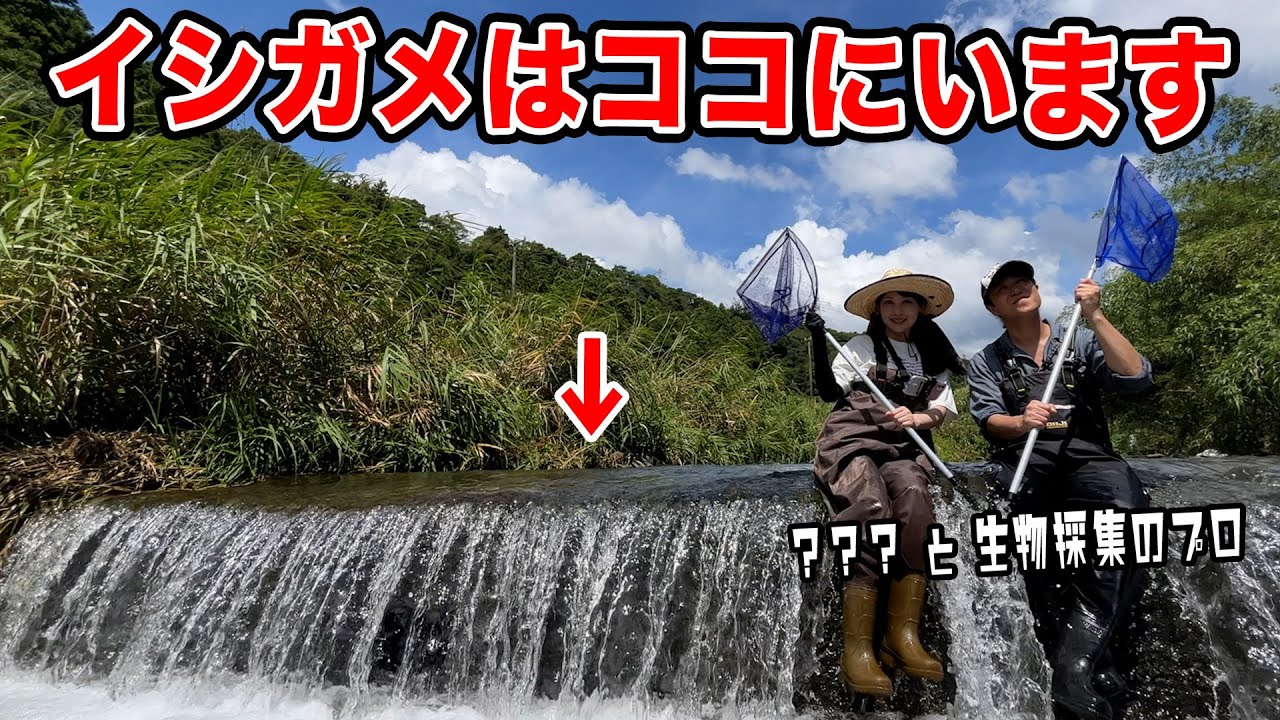 【ニホンイシガメ】絶対にイシガメのいる川を久しぶりに調査した結果…