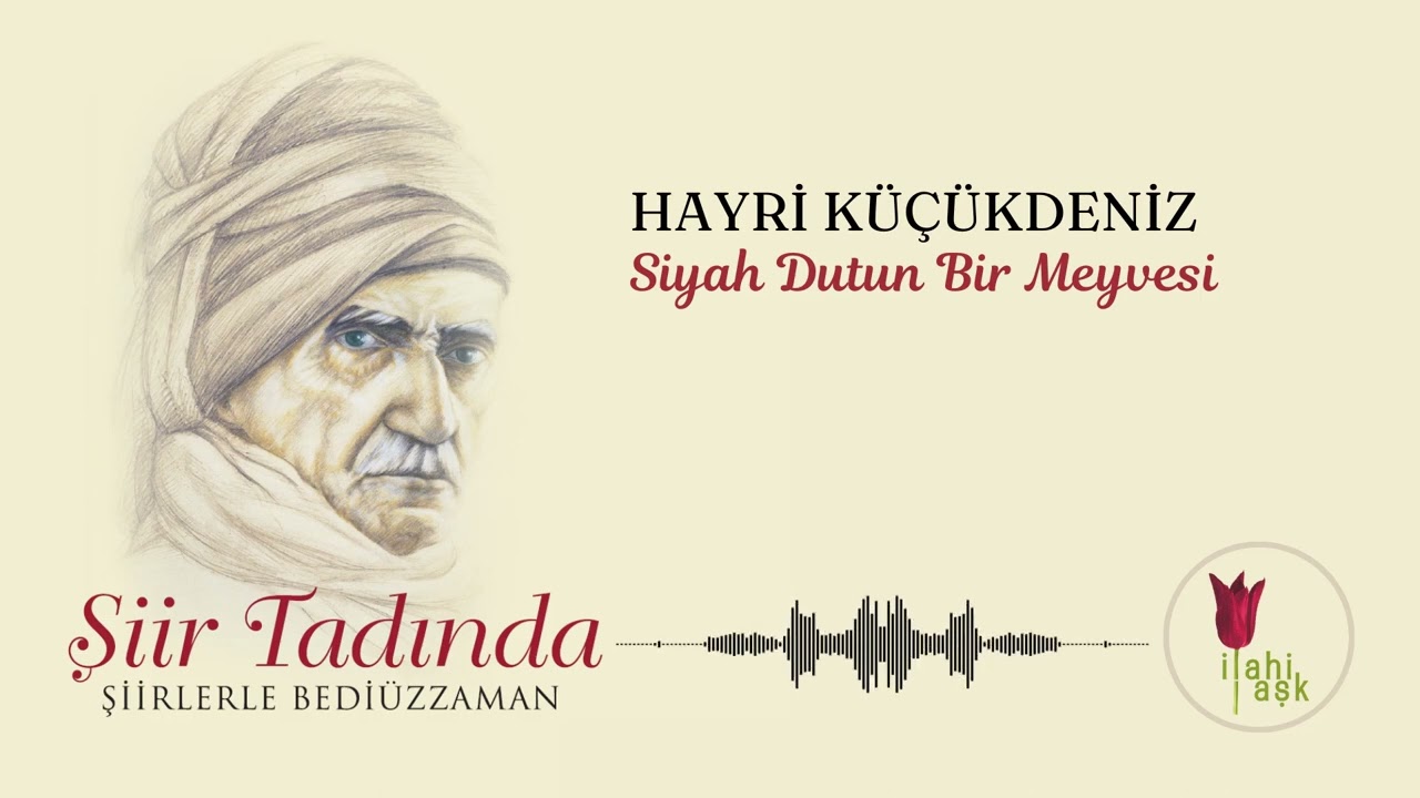 Hayri Küçükdeniz - Siyah Dutun Bir Meyvesi | Şiir Tadında / Şiirlerle Bediüzzaman Albümünden