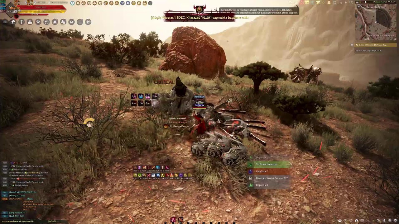 Black Desert Online  (Pvp Server)