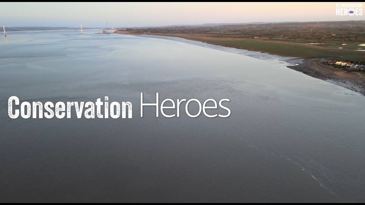 Conservation Heroes: UK Native Species spotlight
