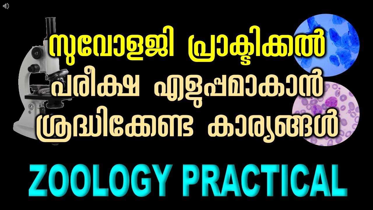 Zoology Practicals | ഓരോ ചോദ്യവും ലളിതമായി വിശദീകരിക്കുന്നു.