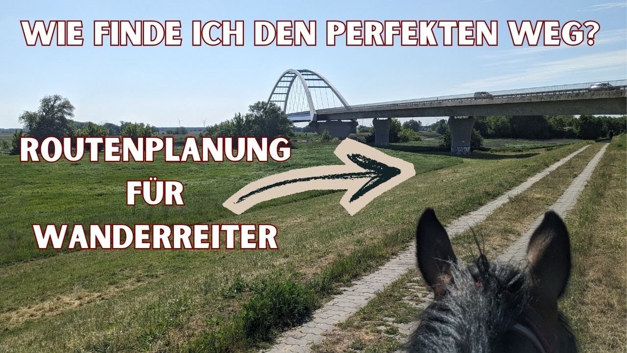 Wanderreiten   Wie finde ich die ideale Strecke   Routenplanung für Wanderritte
