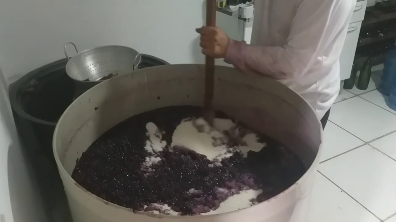 como fazer vinho artesanal  1⁰ parte