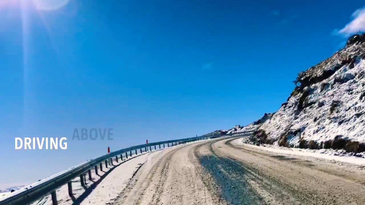 Sled Dogs - UnderDog New Zealand at Snow Farm NZ