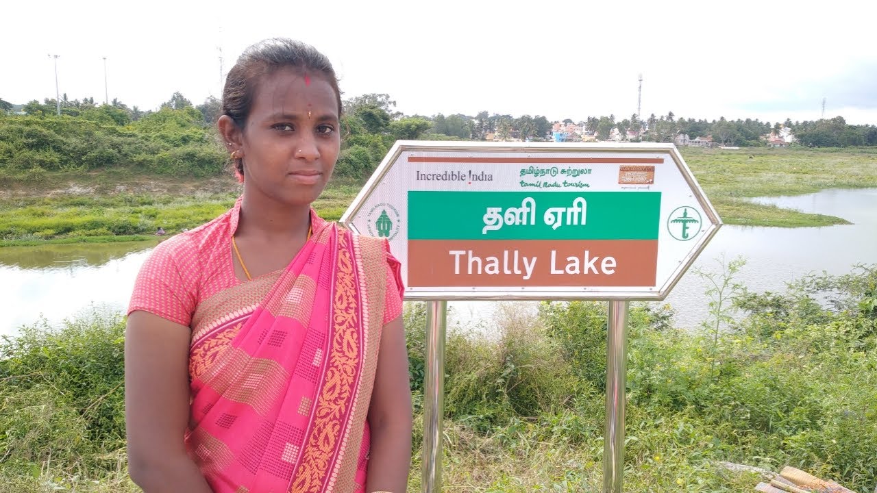 Denkanikottai And Thally Vlog