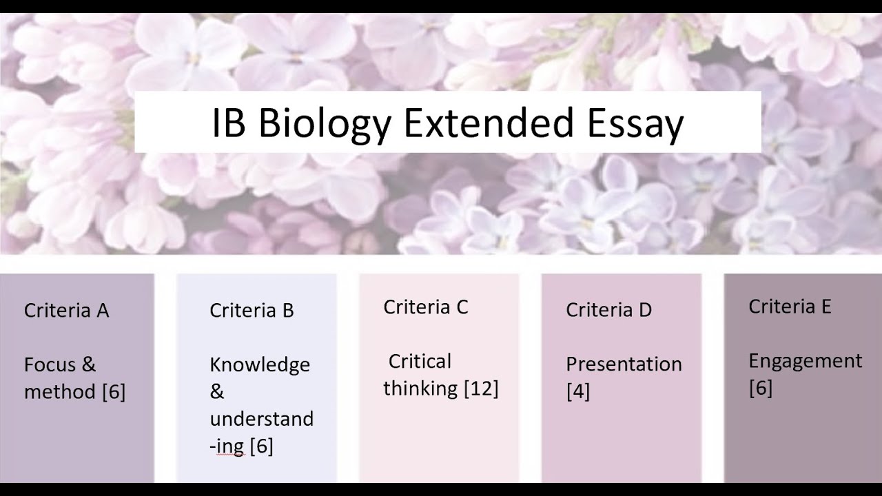 Bio EE brief layout