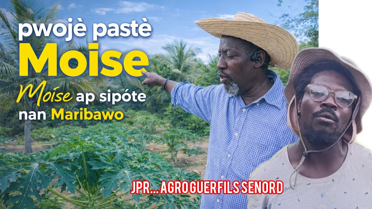 Bravo pastè Moïse, bravo JPR ak agwonòm Guerfils Senord pou bèl pwojè sa.