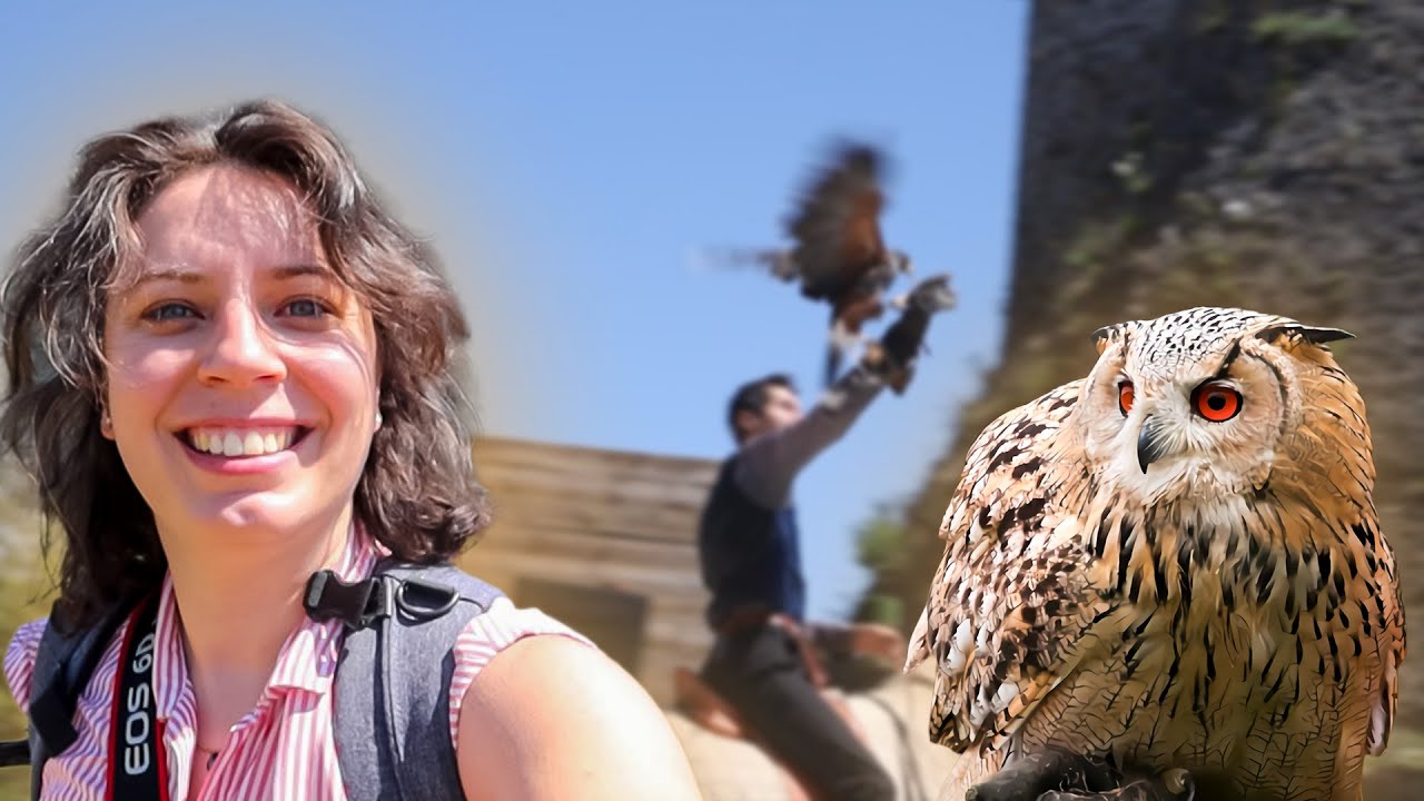 Je visite LA VOLERIE DU FOREZ 🦅