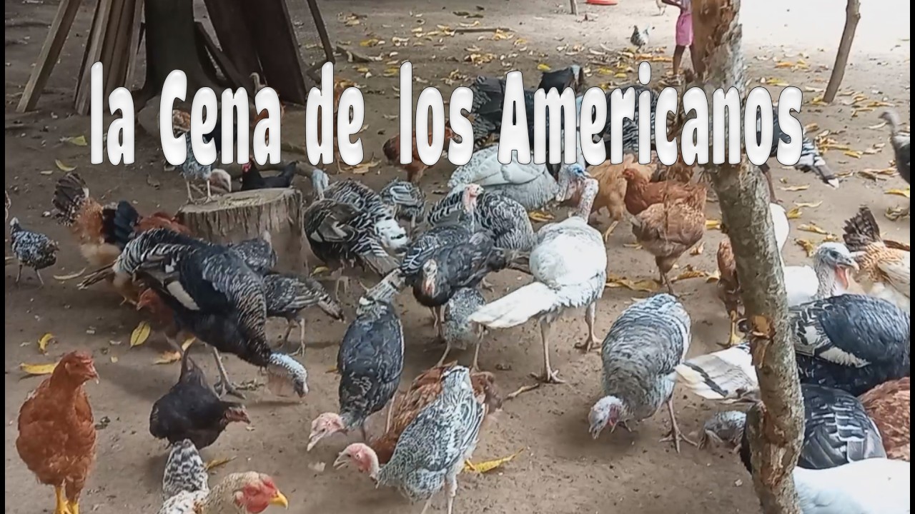 LA CENA AMERICANA