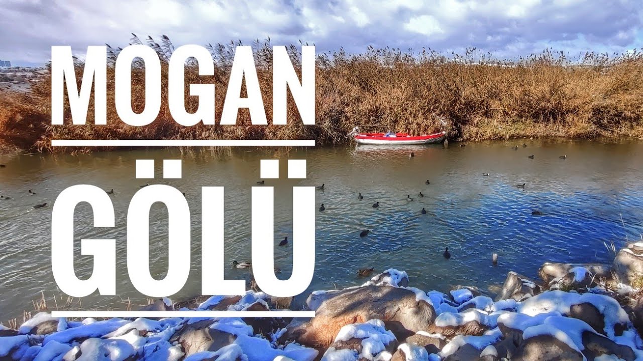 Mogan Gölü | Gölbaşı | Ankara #kar #mogangölü