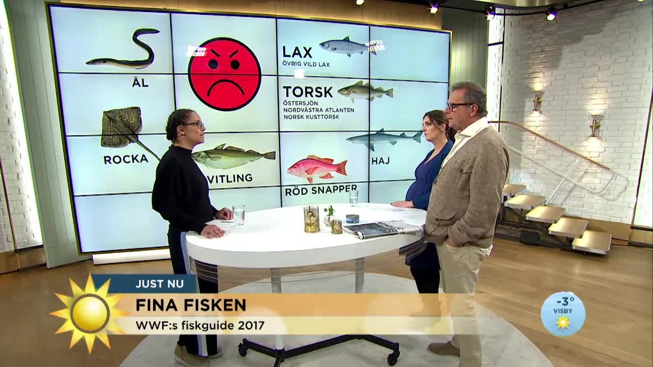 Lista: Här är fiskarna du inte ska äta - Nyhetsmorgon (TV4)