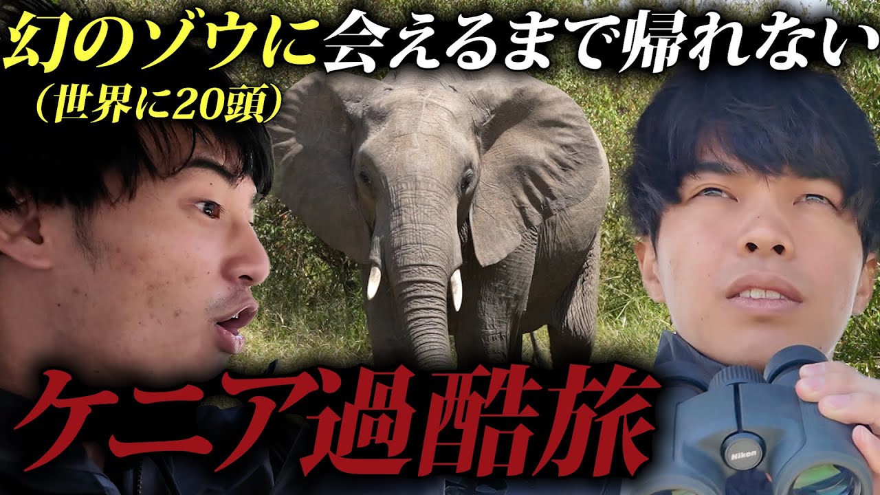 世界に20頭しかいない幻のゾウ見れるまで帰れないサファリ旅。