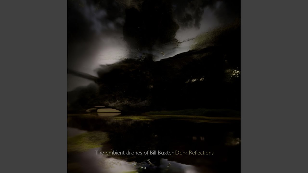 Dark Reflections I