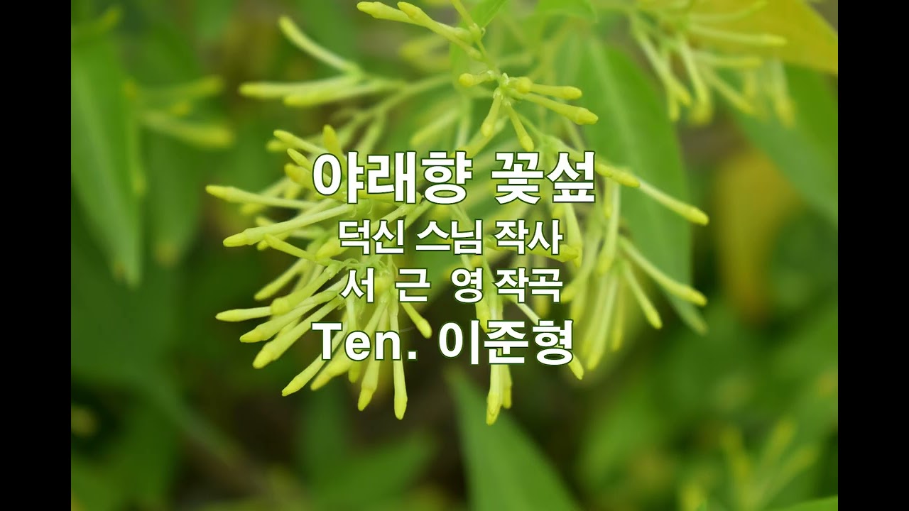 야래향 꽃섶 - 테너 이준형