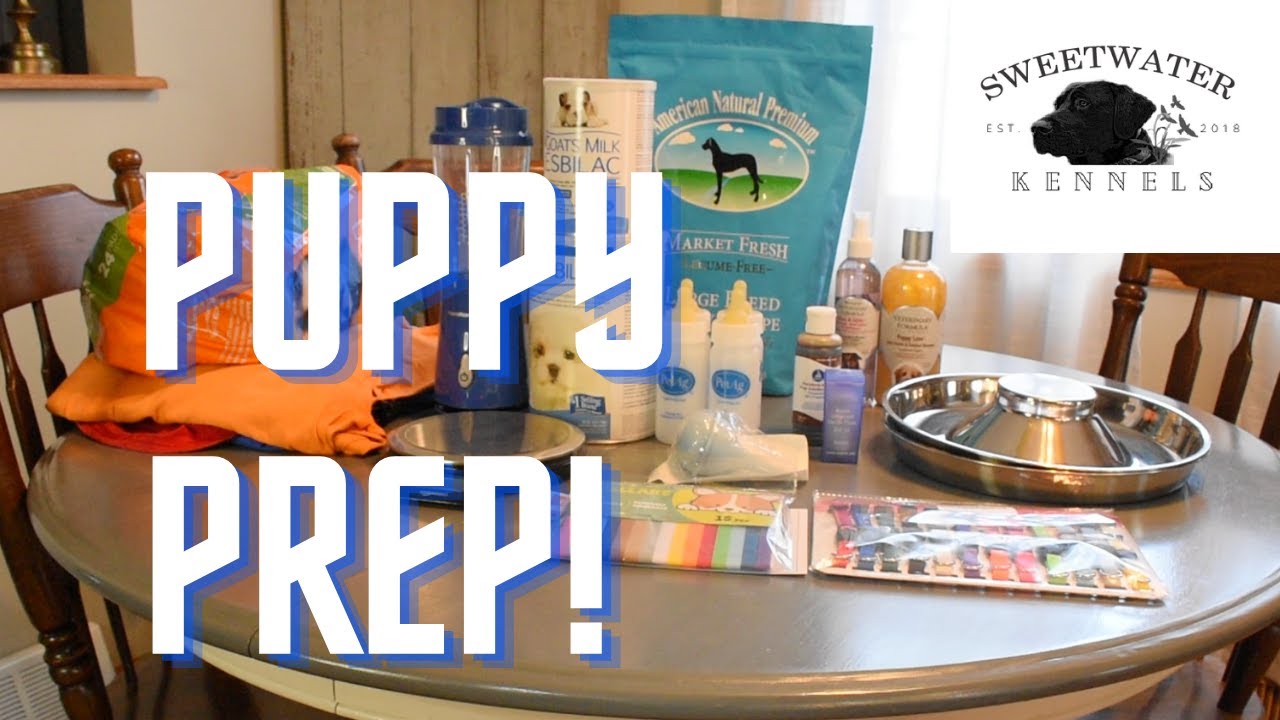 Puppy Prep!