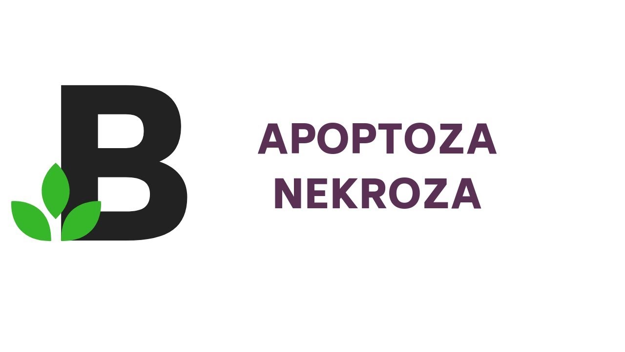APOPTOZA a NEKROZA - śmierć kom&oacute;rki - KOREPETYCJE z BIOLOGII - 36