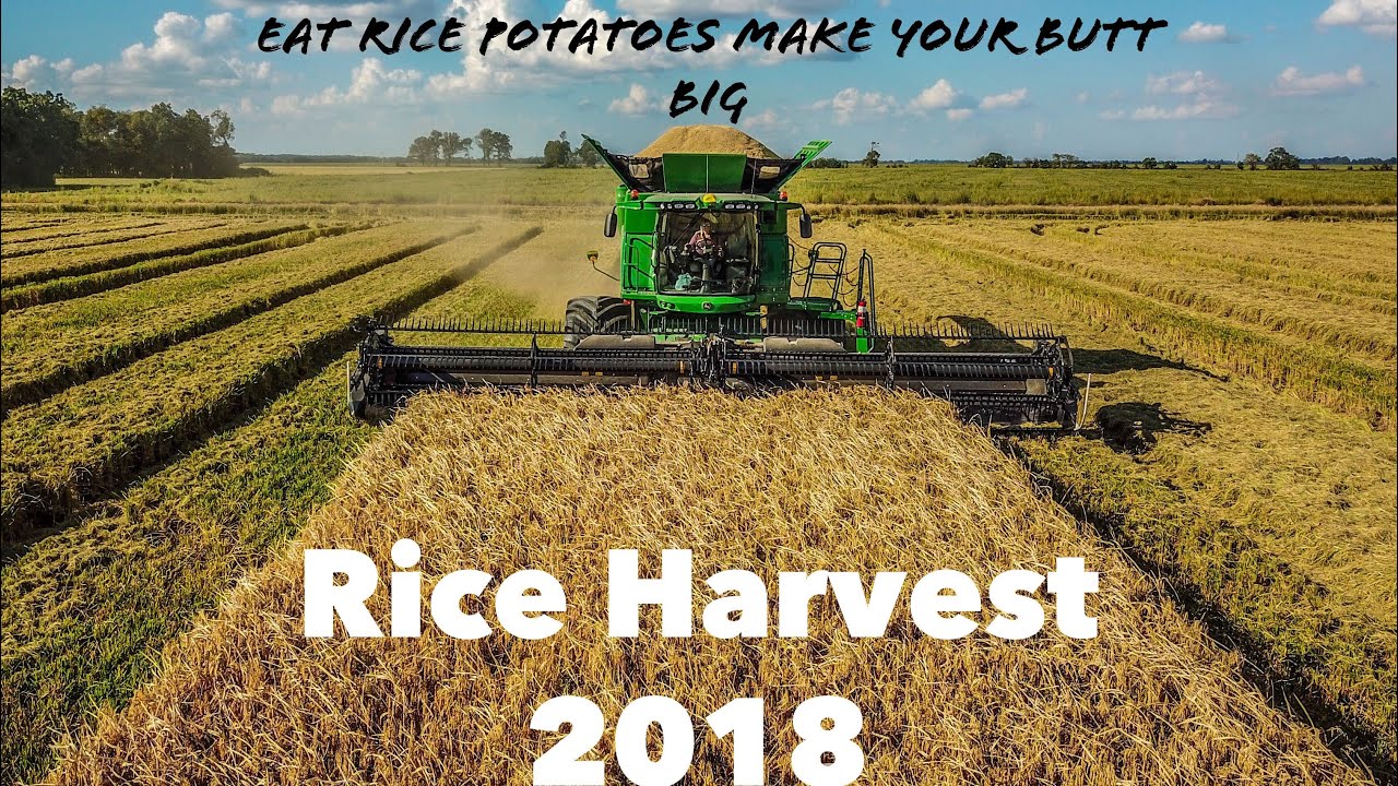 Arkansas Rice Harvest 4k 2018