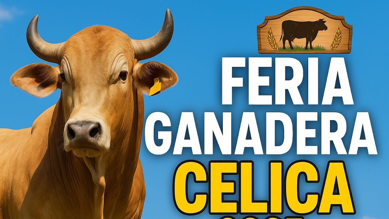 🎉🐮 ¡CELICA REVIENTA EN SU PRIMER DÍA DE FERIA GANADERA! 🐄🔥