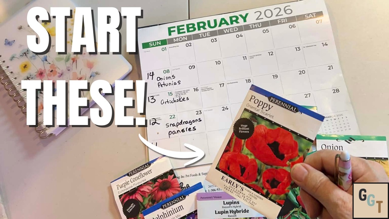 February Seeds for Zones 3-5: What You Can Start NOW
