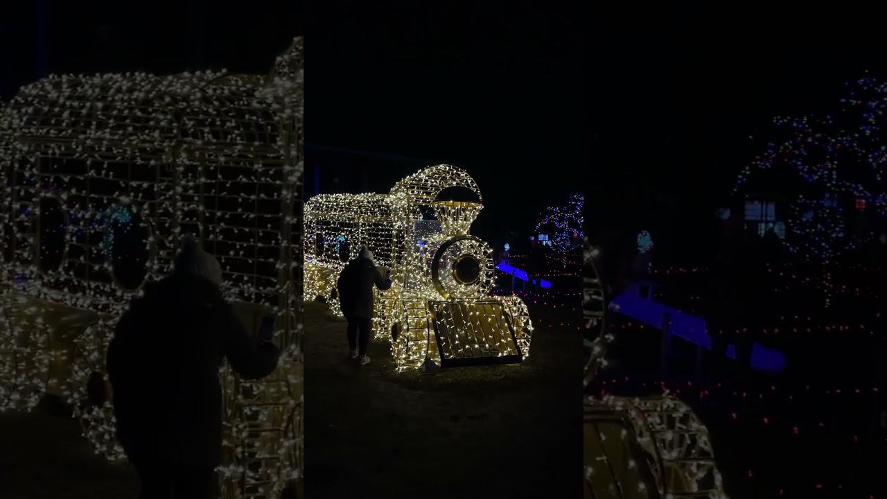Detroit Lights show .
