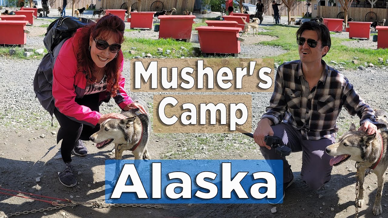 Juneau Alaska | Cruise Excursion￼ | ￼Dog  Musher's Camp |