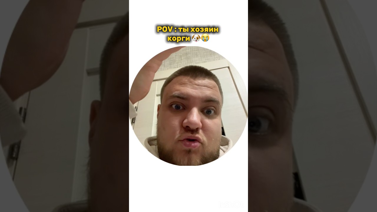 🐶Отпугивающий спрей WB : #WW288837#прикол #щенок #корги #собака