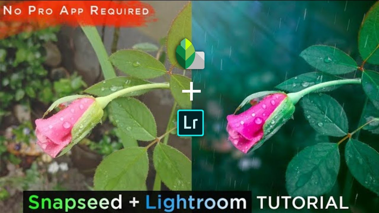 Flower Editing in Snapseed and Lightroom | Green Moody Tone | by BKsTricks