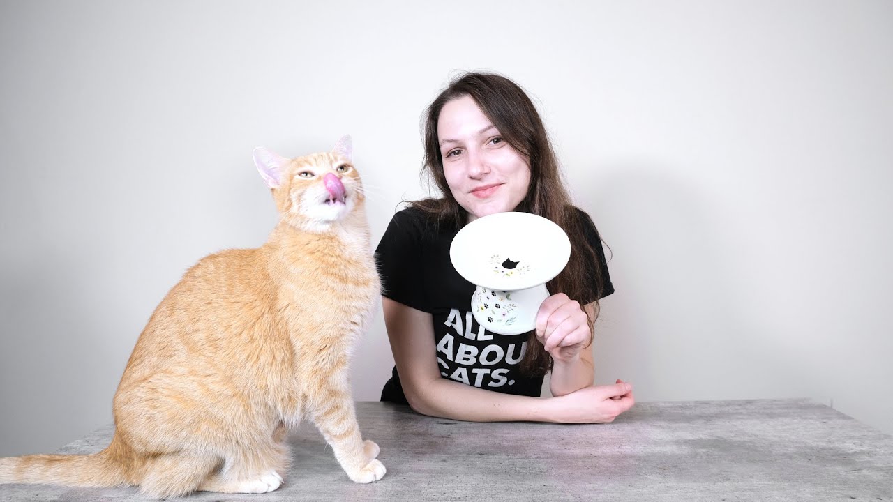 Necoichi Extra Wide Raised Cat Bowl Review (We Tested It)