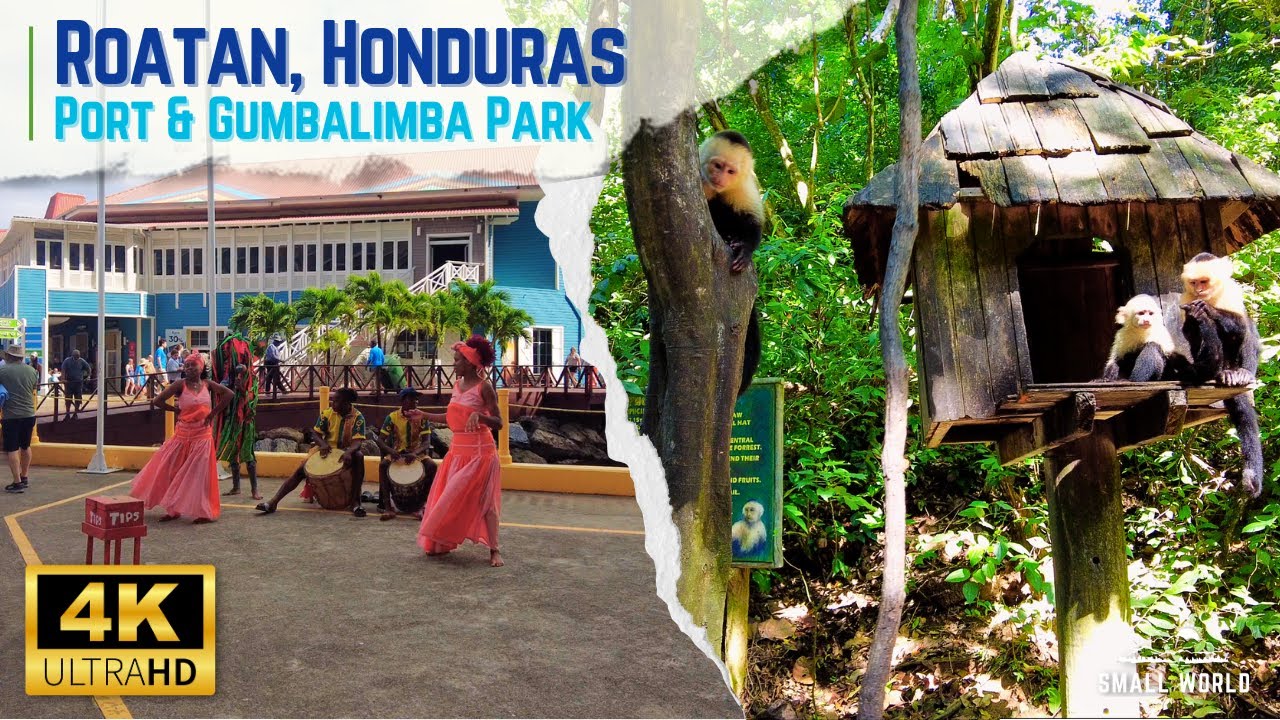 Roatan, Honduras | Walking Tour of the Port Town Center & Gumbalimba Park, The Untamed Roat&aacute;n