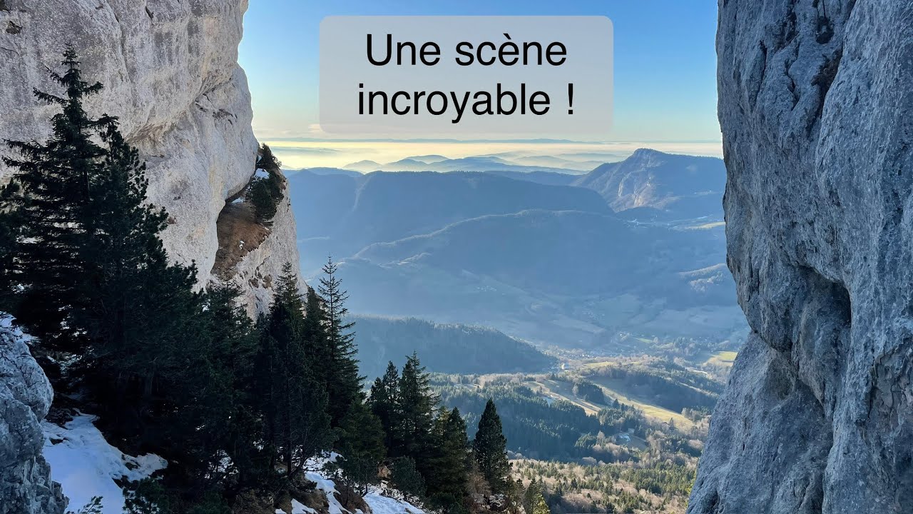 Une scène incroyable en Chartreuse: les rois de la montagne au coucher du soleil ! 